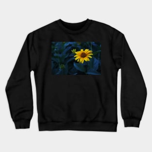 Revival Crewneck Sweatshirt